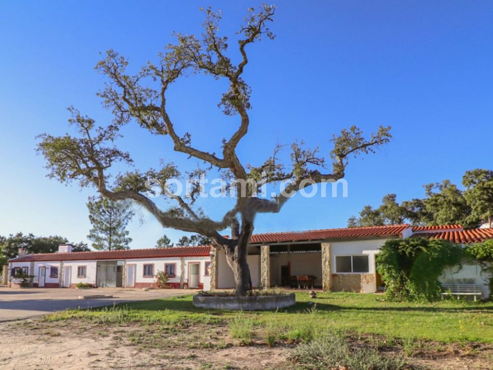 Villa i Ponte de Sor, Portalegre - bilde 3