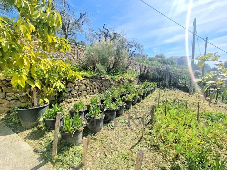 Villa i Bordighera, Imperia - foto 4