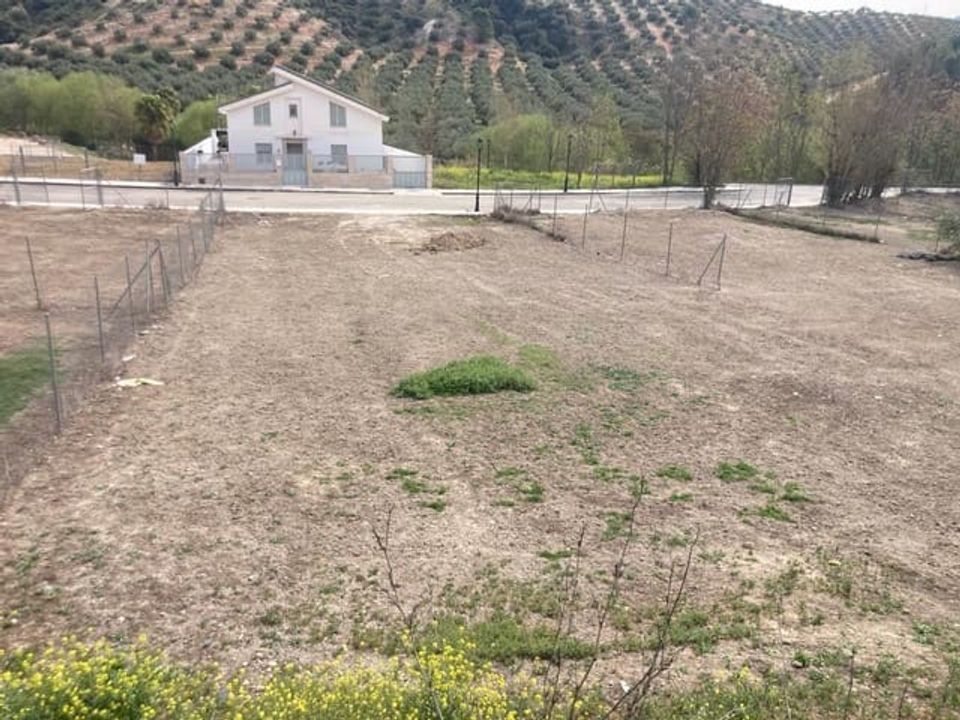 Helårsgrund i Zambra, Cordoba - foto 1