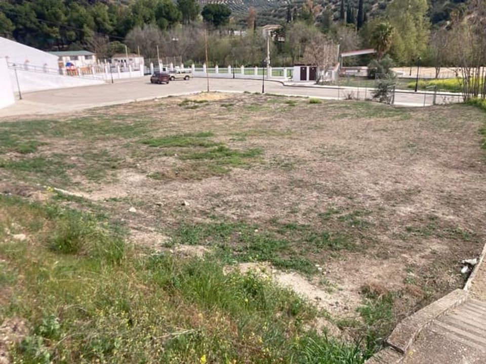 Helårsgrund i Zambra, Cordoba - foto 3