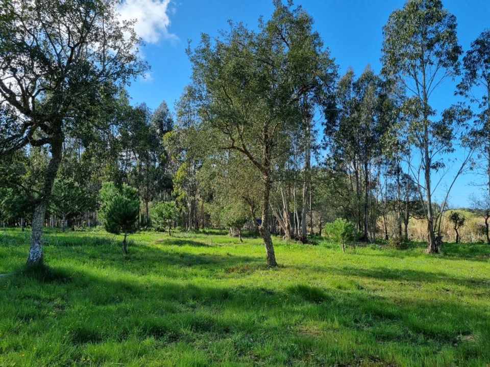 Helårsgrund i Caldas da Rainha, Leiria - foto 5