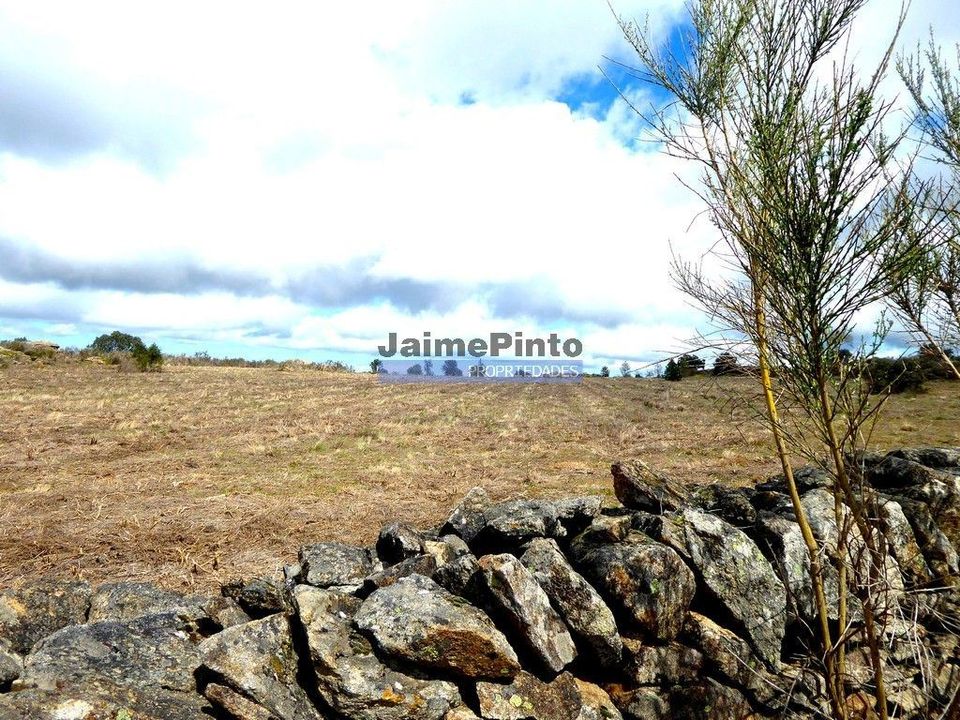 Terra a Figueira de Castelo Rodrigo, Guarda - foto 1
