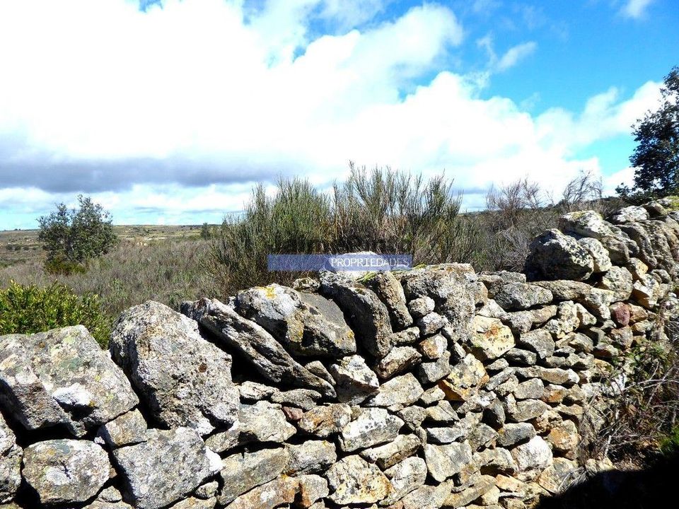 Terra a Figueira de Castelo Rodrigo, Guarda - foto 2