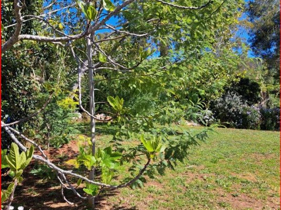 Villa i Carqueiranne, Var - foto 2
