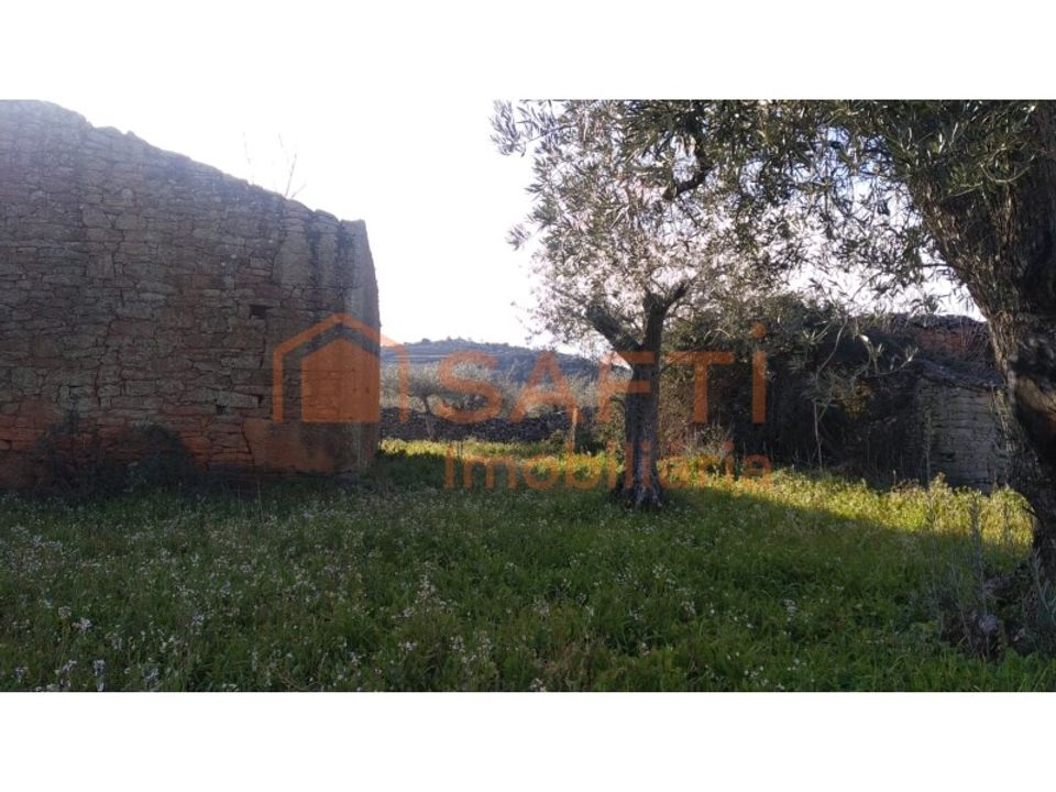 Farm i Vila Nova de Foz Coa, Guarda - foto 3