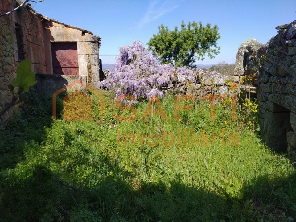 Farm i Vila Nova de Foz Coa, Guarda - foto 4