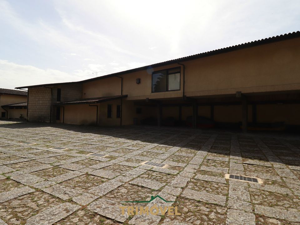 Farm i Oliveira de Azemeis, Aveiro - foto 5