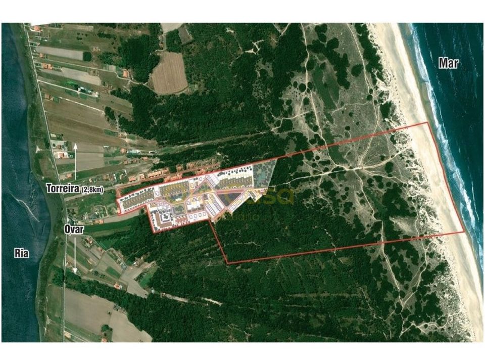 Tomt i Torreira, Aveiro - bilde 3