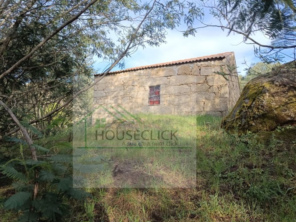 Farm i Macainhas de Baixo, Guarda - foto 1