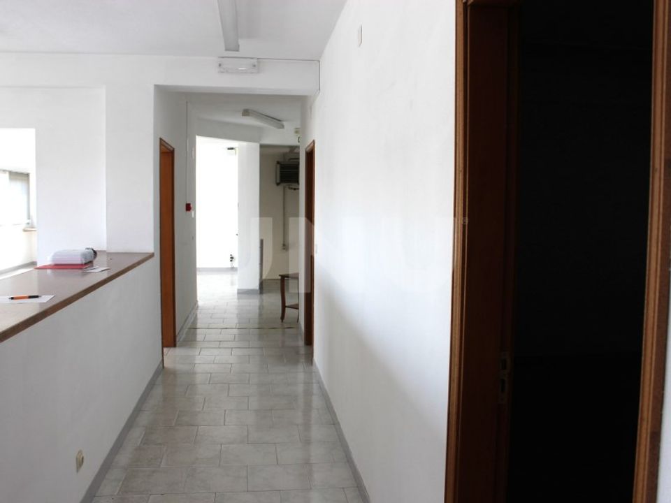 Commercial property in Castelo Branco, Castelo Branco - photo 3