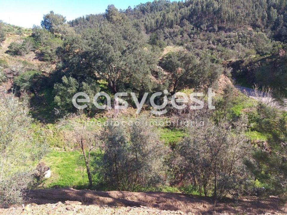 Farm i Monchique, Faro - foto 5