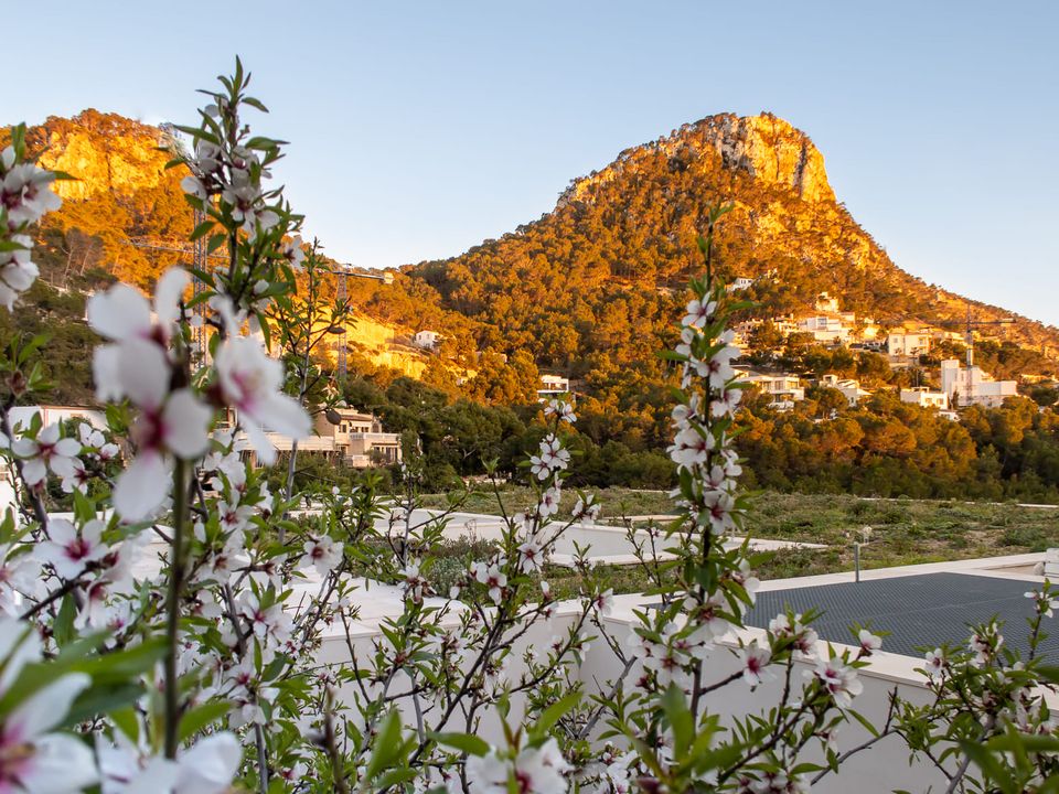 Villa i Port D'andratx, Mallorca - foto 4