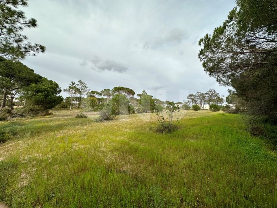 Helårsgrund i Almancil, Faro - foto 2