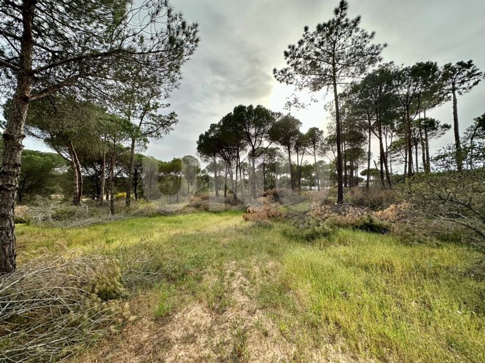 Helårsgrund i Almancil, Faro - foto 1