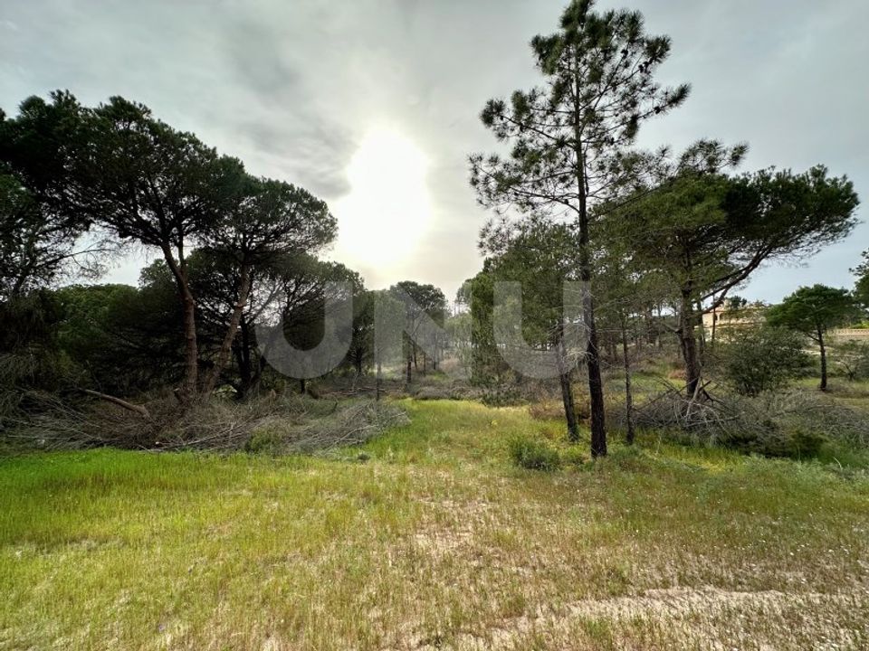 Helårsgrund i Almancil, Faro - foto 3
