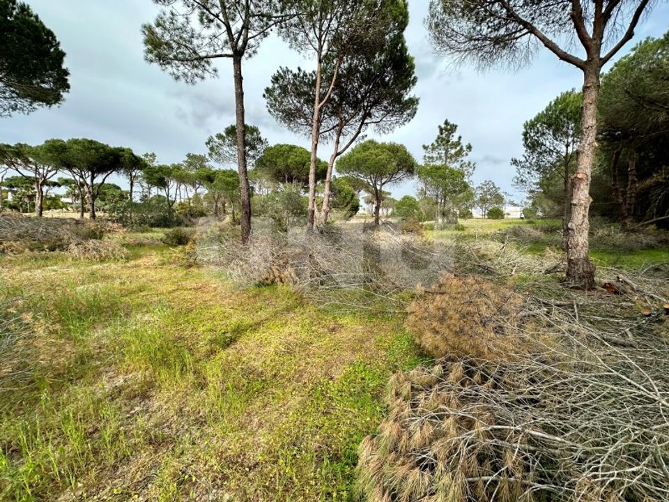 Helårsgrund i Almancil, Faro - foto 4