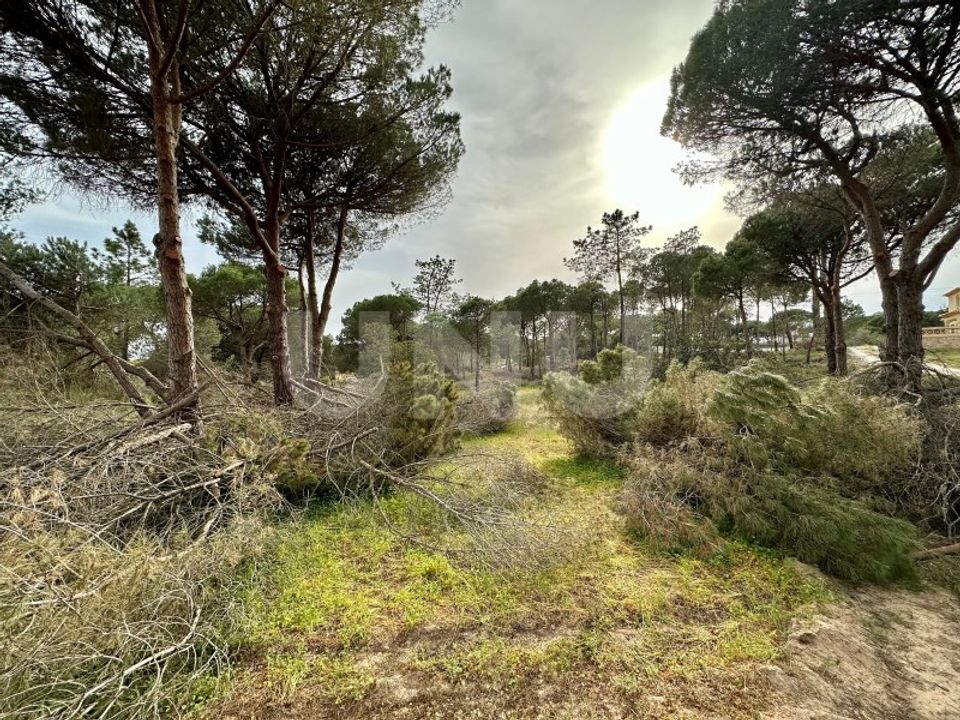 Helårsgrund i Almancil, Faro - foto 5