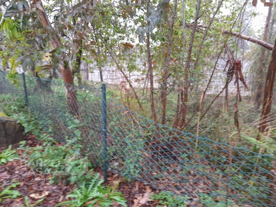 Terreno en Alvito, Beja - foto 2