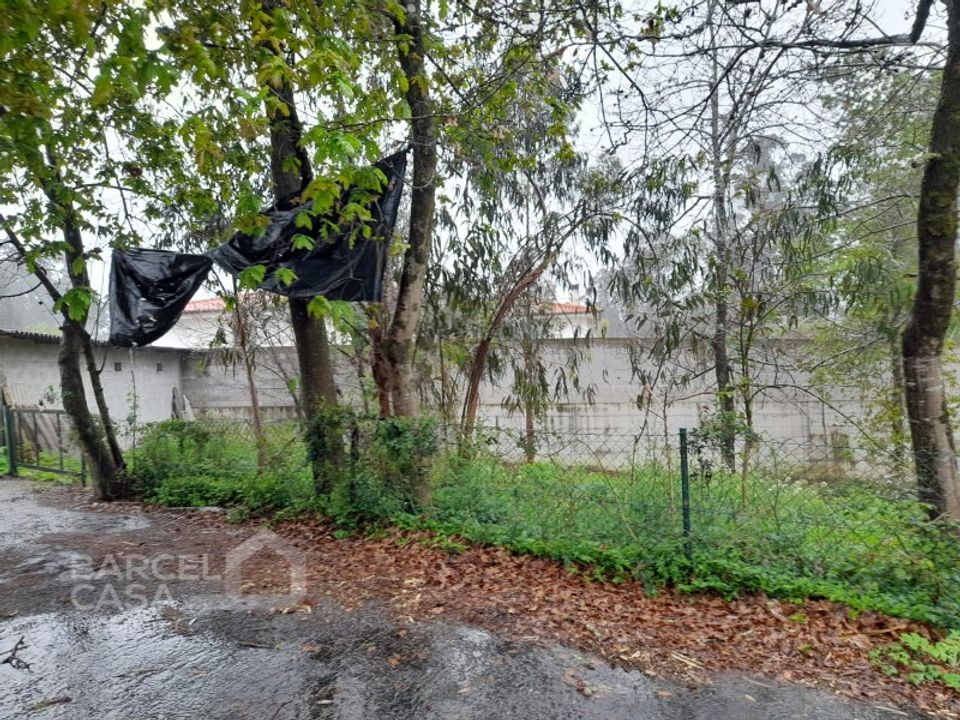Terreno en Alvito, Beja - foto 1