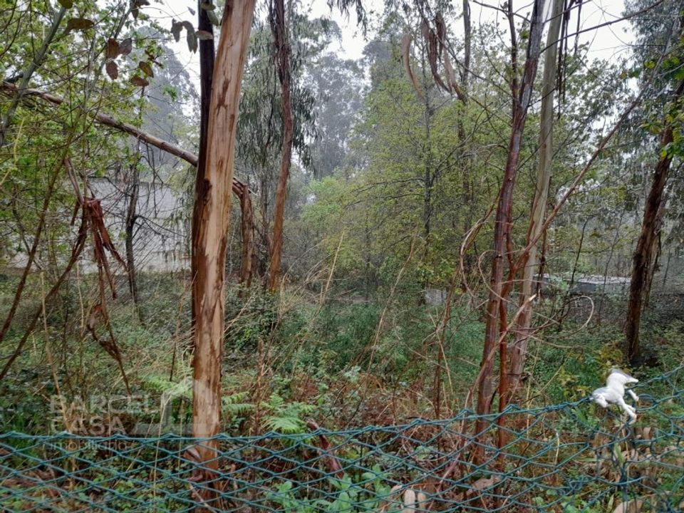 Terreno en Alvito, Beja - foto 3