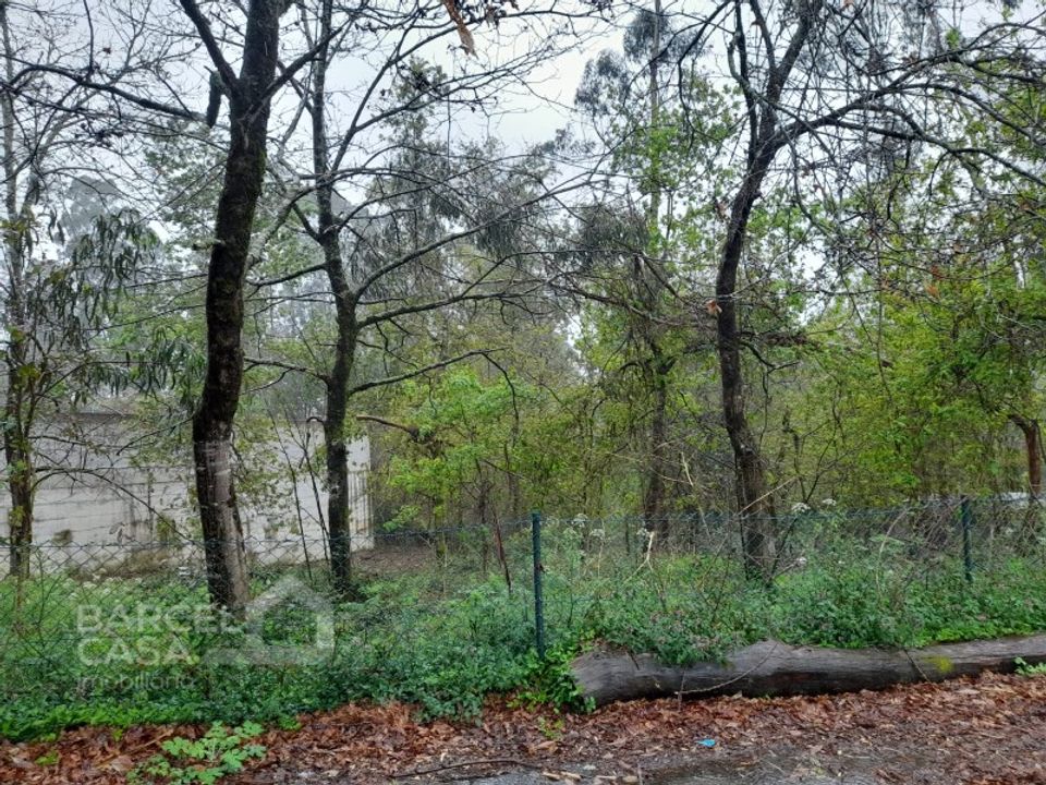 Terreno en Alvito, Beja - foto 4