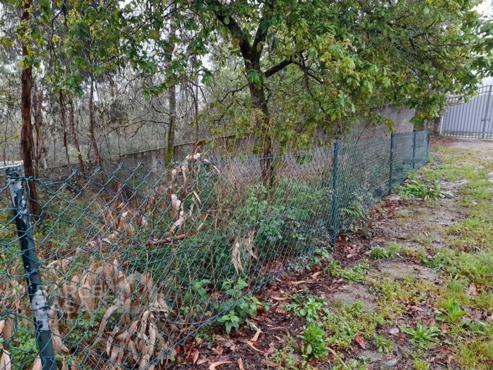 Terreno en Alvito, Beja - foto 5