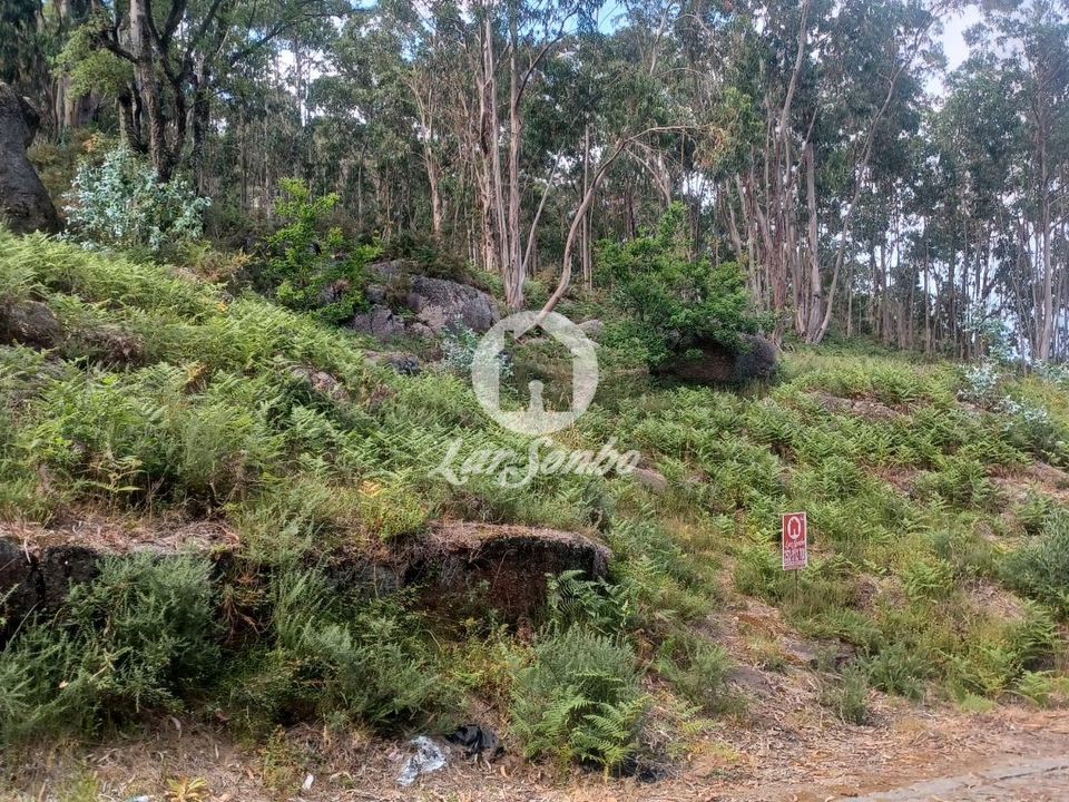 Helårsgrund i Vila Nova de Famalicao, Braga - foto 1