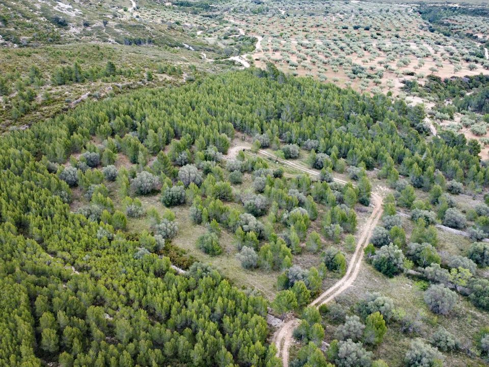 Finca i Canet Lo Roig, Castellon - foto 1