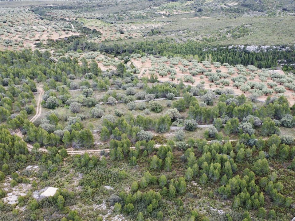Finca i Canet Lo Roig, Castellon - foto 4