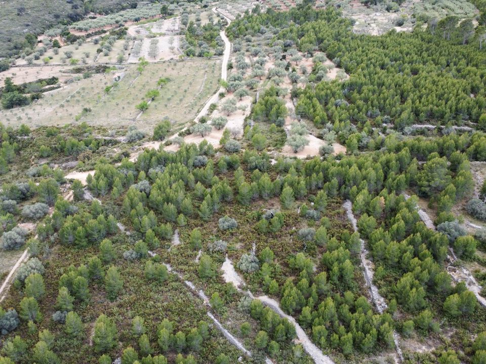 Finca i Canet Lo Roig, Castellon - foto 3