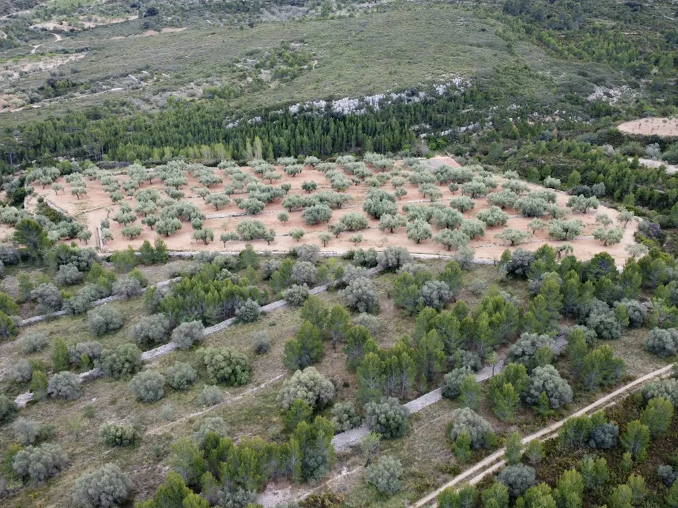 Finca i Canet Lo Roig, Castellon - foto 2