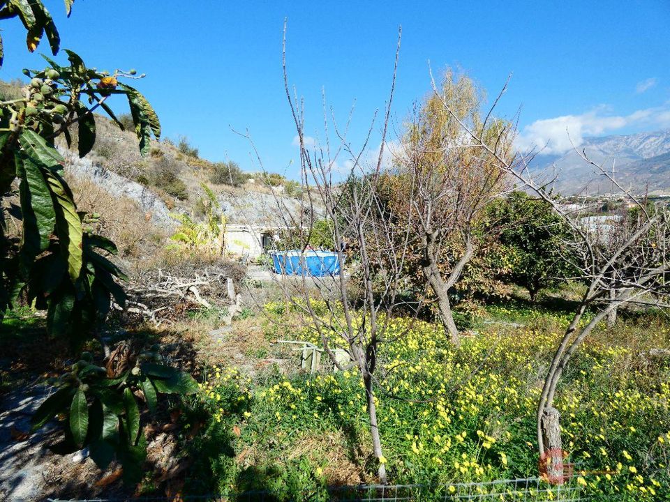 Finca i Motril, Granada - foto 1