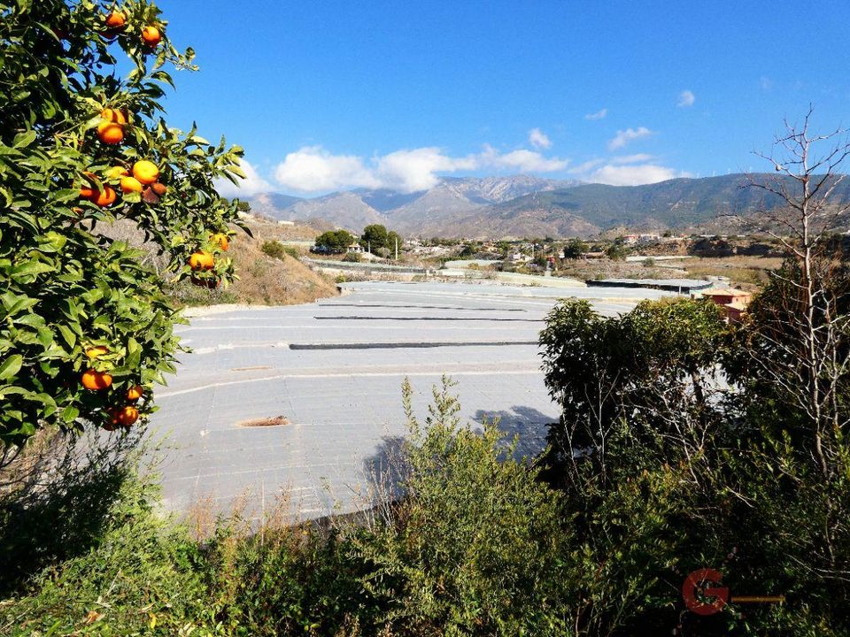 Finca i Motril, Granada - foto 5