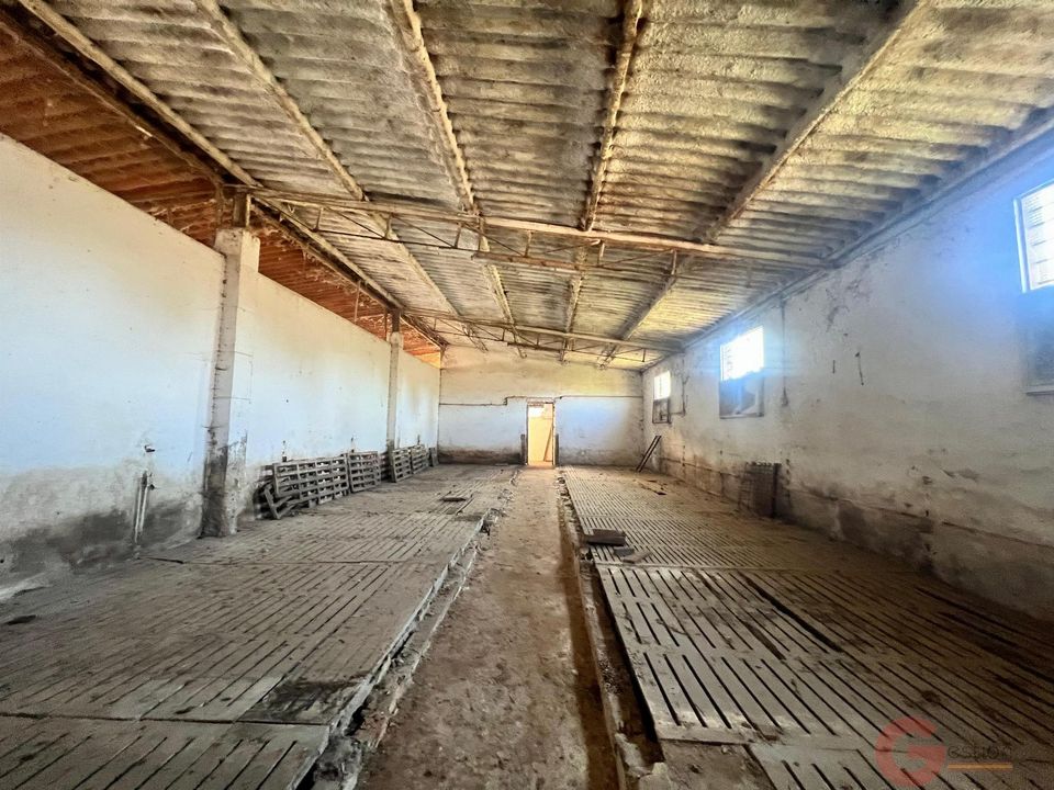 Finca i Motril, Granada - foto 5