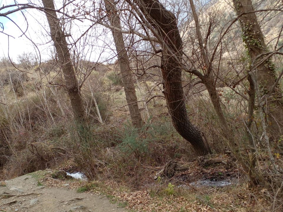 Ruinere i Capileira, Granada - foto 5