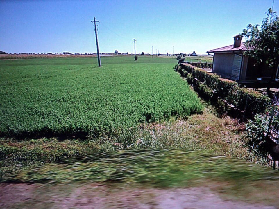 Helårsgrund i Lagosanto, Ferrara - foto 1