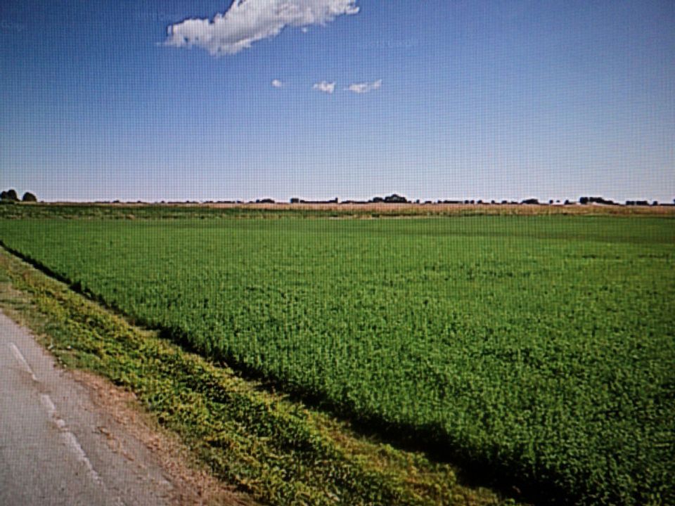 Helårsgrund i Lagosanto, Ferrara - foto 5