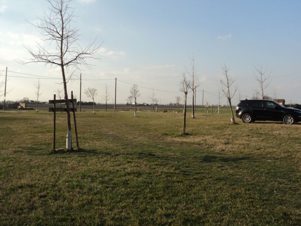 Villa i Jolanda di Savoia, Ferrara - foto 4
