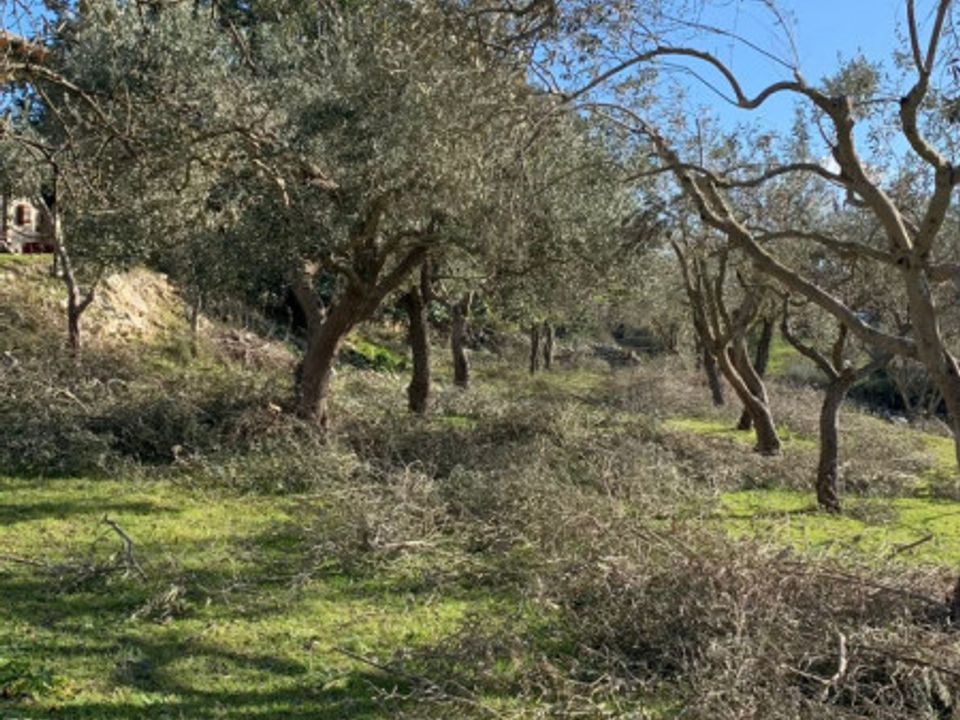 Landejendom i Modica, Ragusa - foto 4