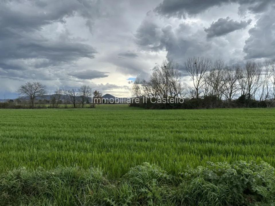 Helårsgrund i Castiglione del Lago, Perugia - foto 2