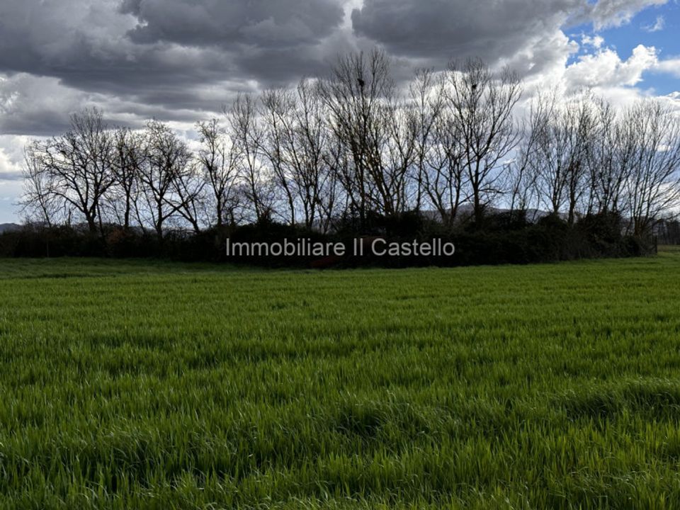 Helårsgrund i Castiglione del Lago, Perugia - foto 5