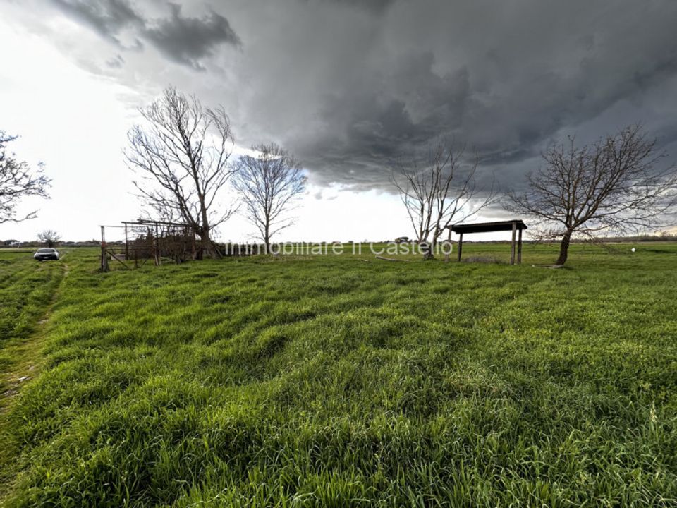 Helårsgrund i Castiglione del Lago, Perugia - foto 4