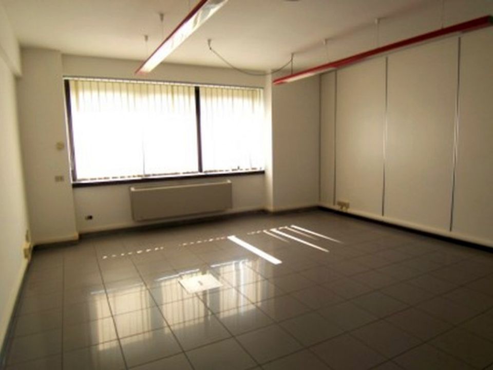 L'establiment comercial a Segrate, Milan - foto 5