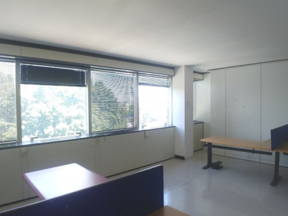 L'establiment comercial a Vimodrone, Milan - foto 4