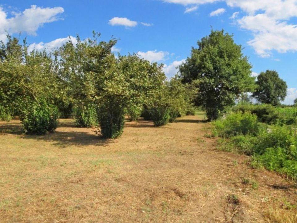 Grond in Riardo, Caserta - foto 1