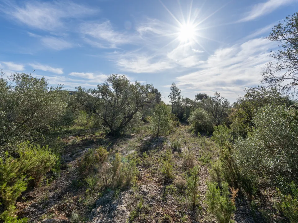 Finca i Mas De Barberans, Tarragona - foto 3