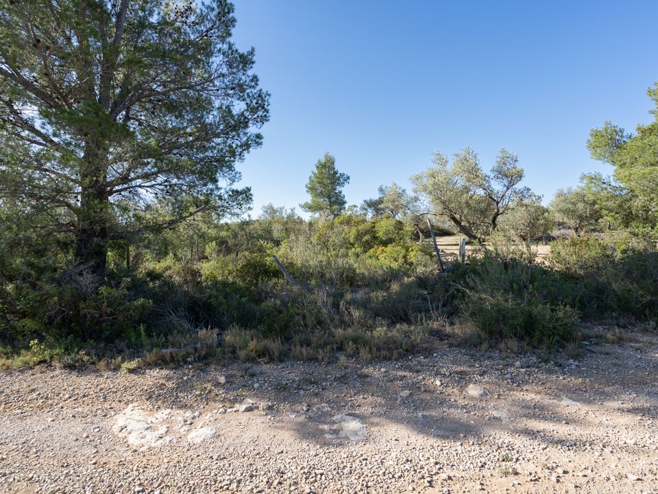 Finca i Mas De Barberans, Tarragona - foto 1