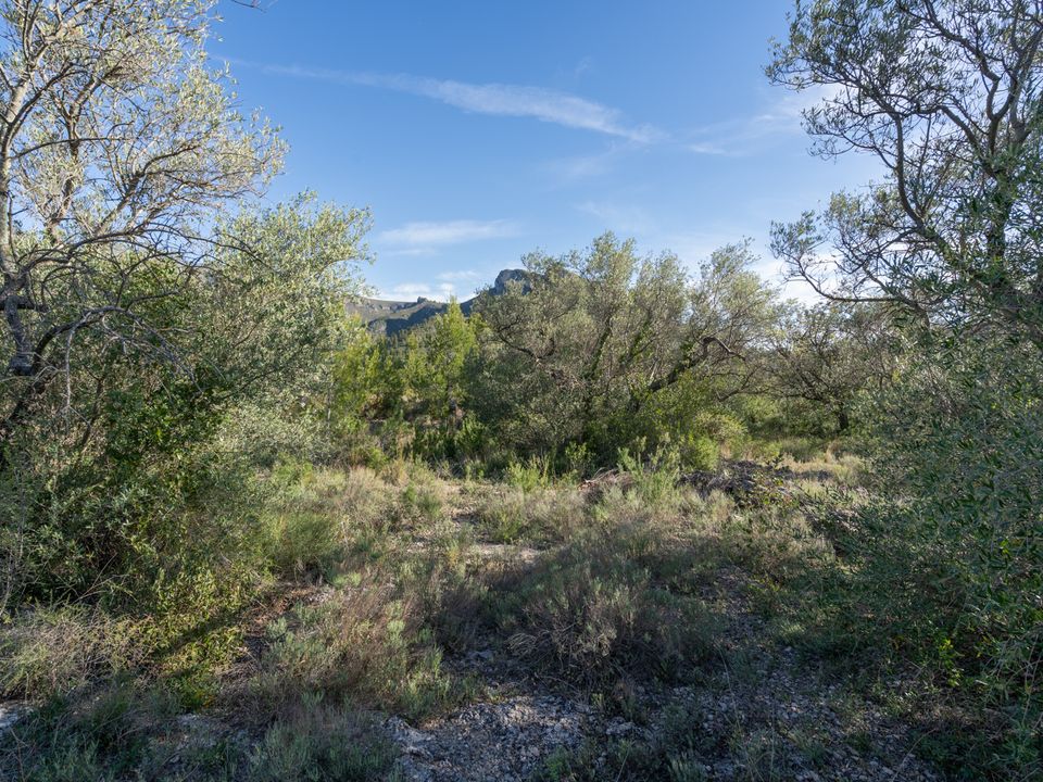 Finca i Mas De Barberans, Tarragona - foto 4