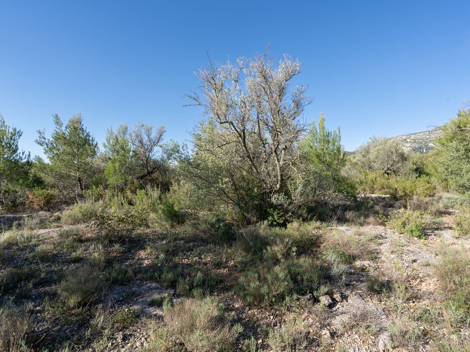 Finca i Mas De Barberans, Tarragona - foto 2