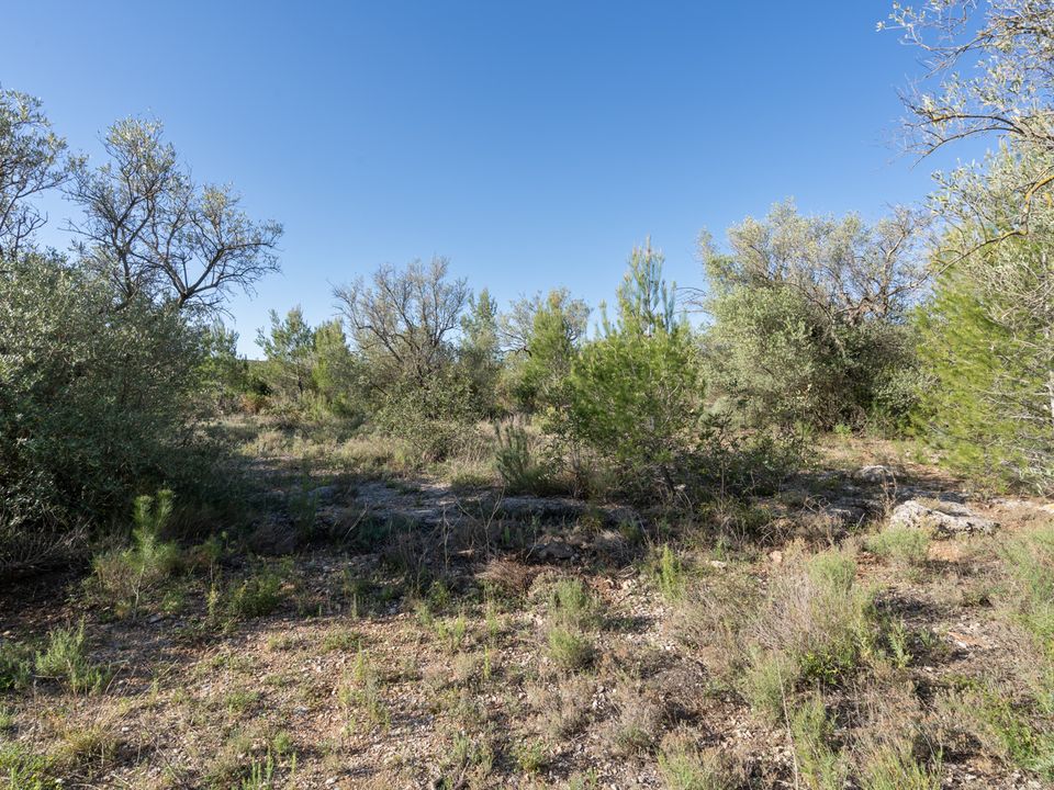 Finca i Mas De Barberans, Tarragona - foto 5